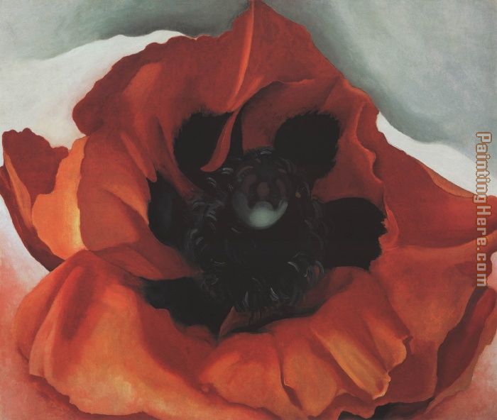 Poppy painting - Georgia O'Keeffe Poppy art painting